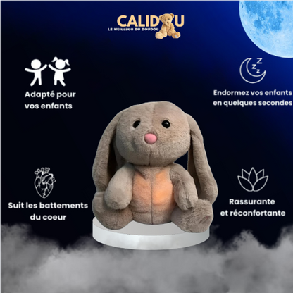 The Calidou Lapin